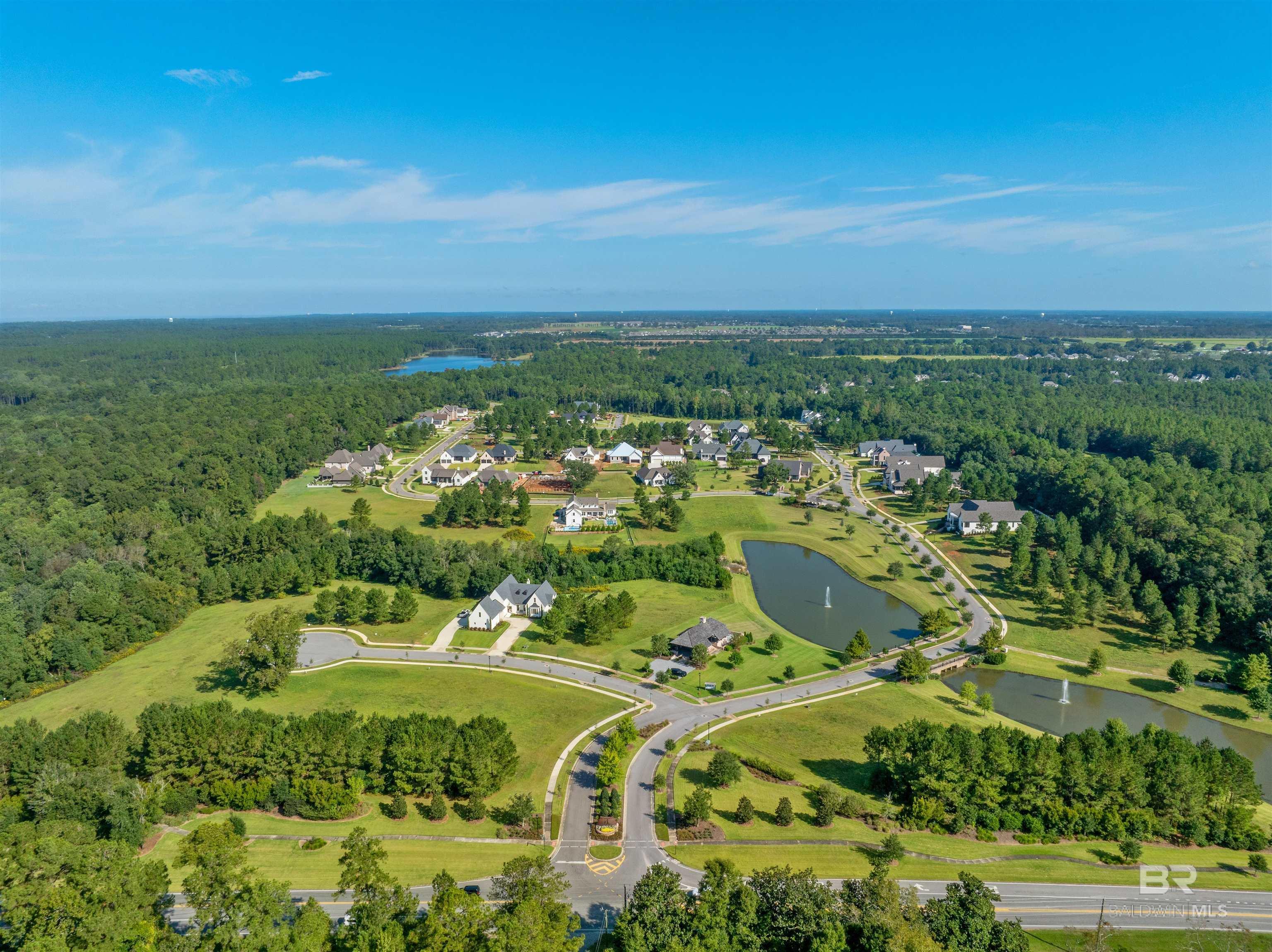 Image 3: Aerial View