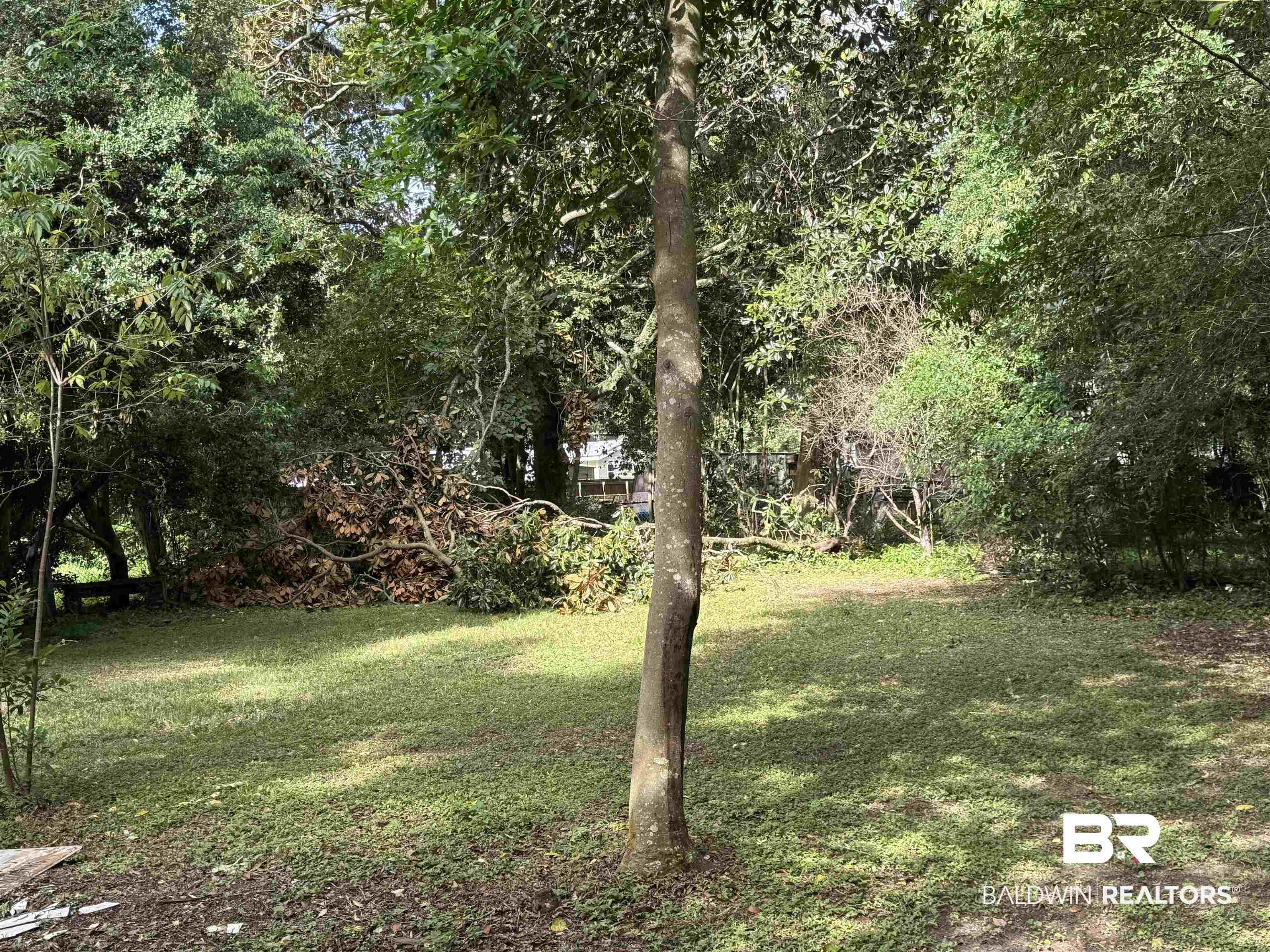 Image 3: Yard