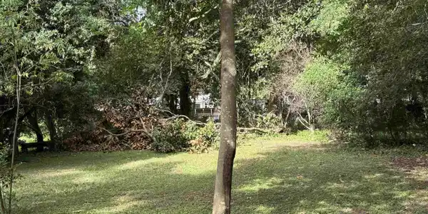 Image 3: Yard
