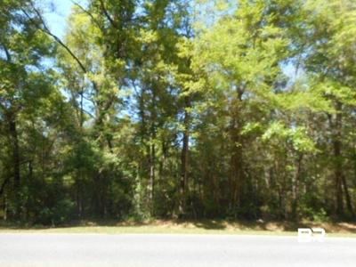 Park Drive