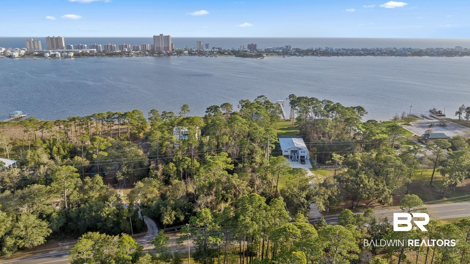 Image 3: Aerial view of a tree filled landscape
