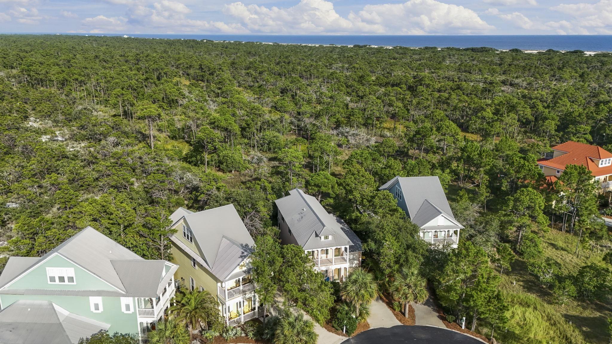Image 3: Bird's eye view of a forest