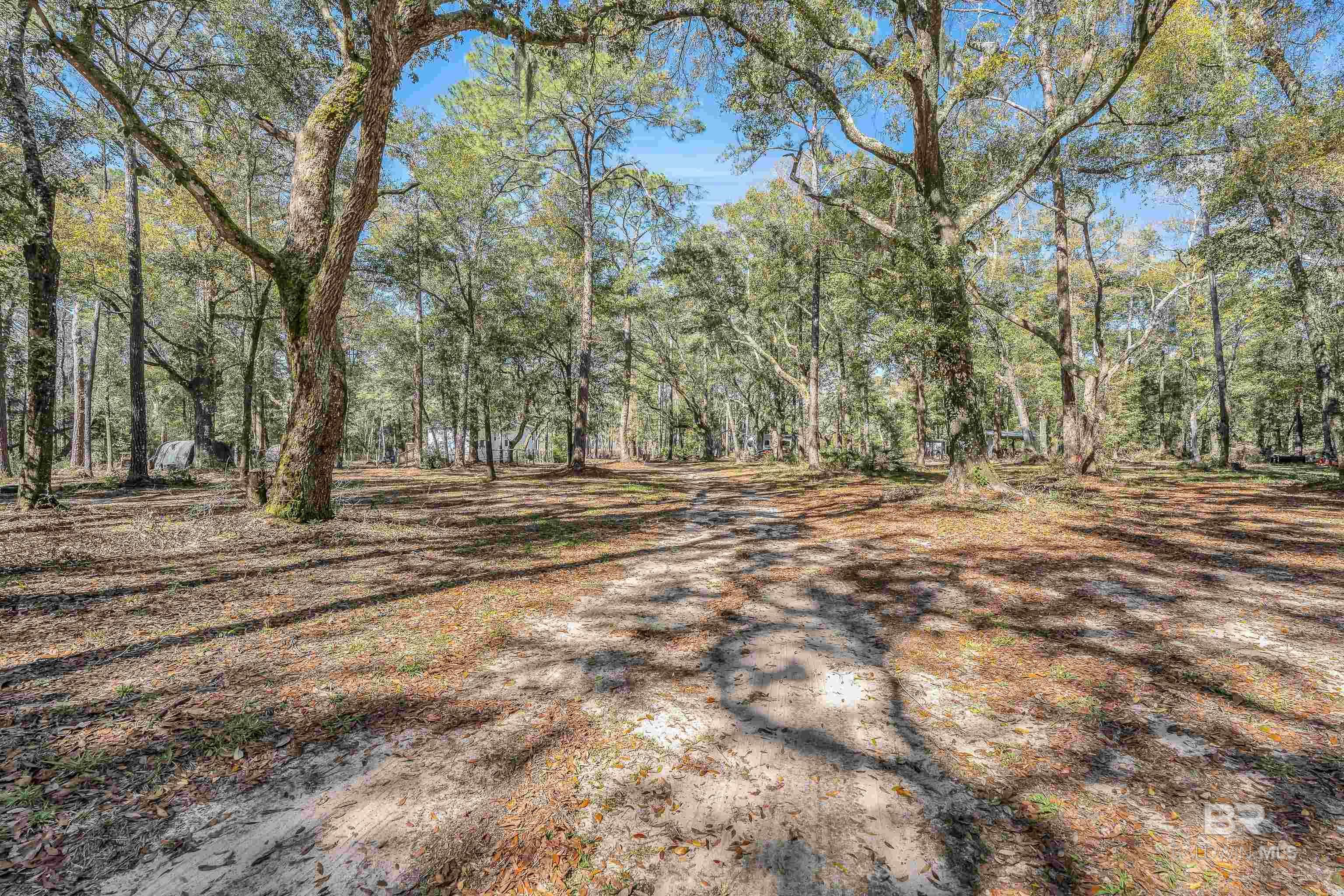 Image 4: Beautiful Wooded Lot