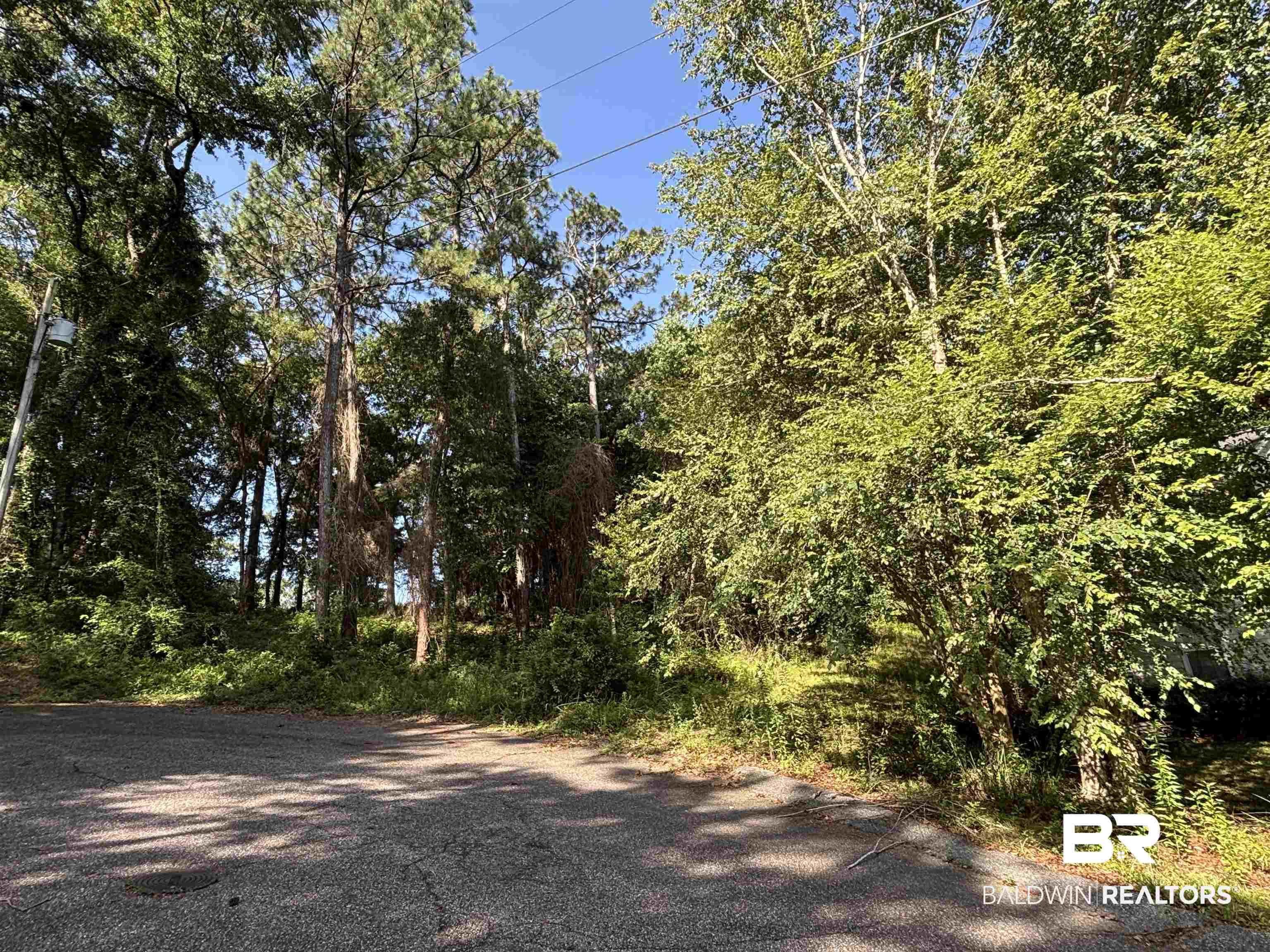 Image 2: View of asphalt road