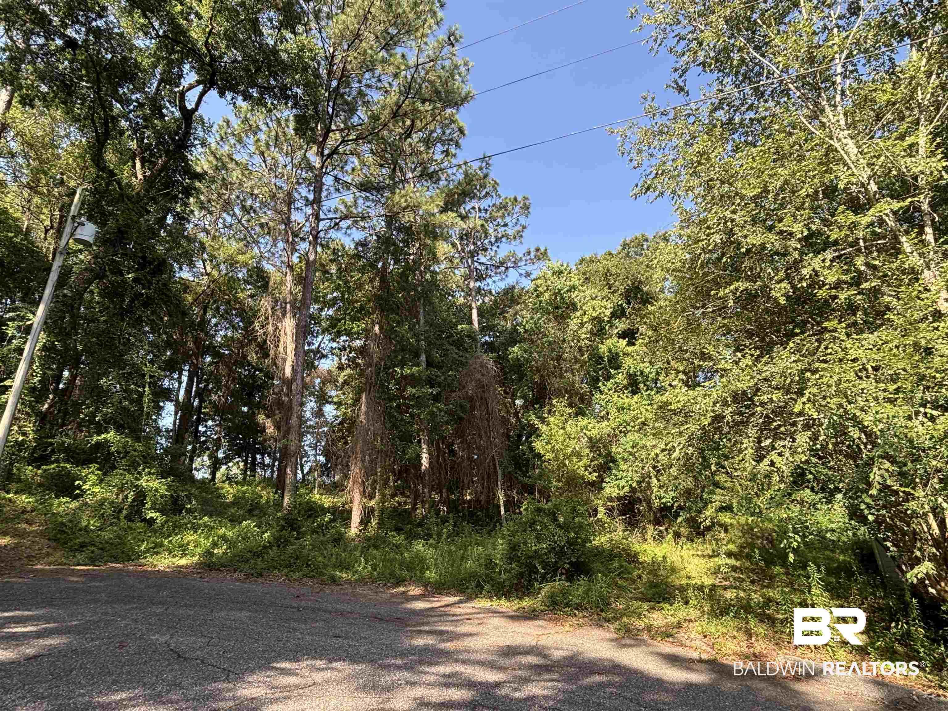 Image 3: View of road with a forest view
