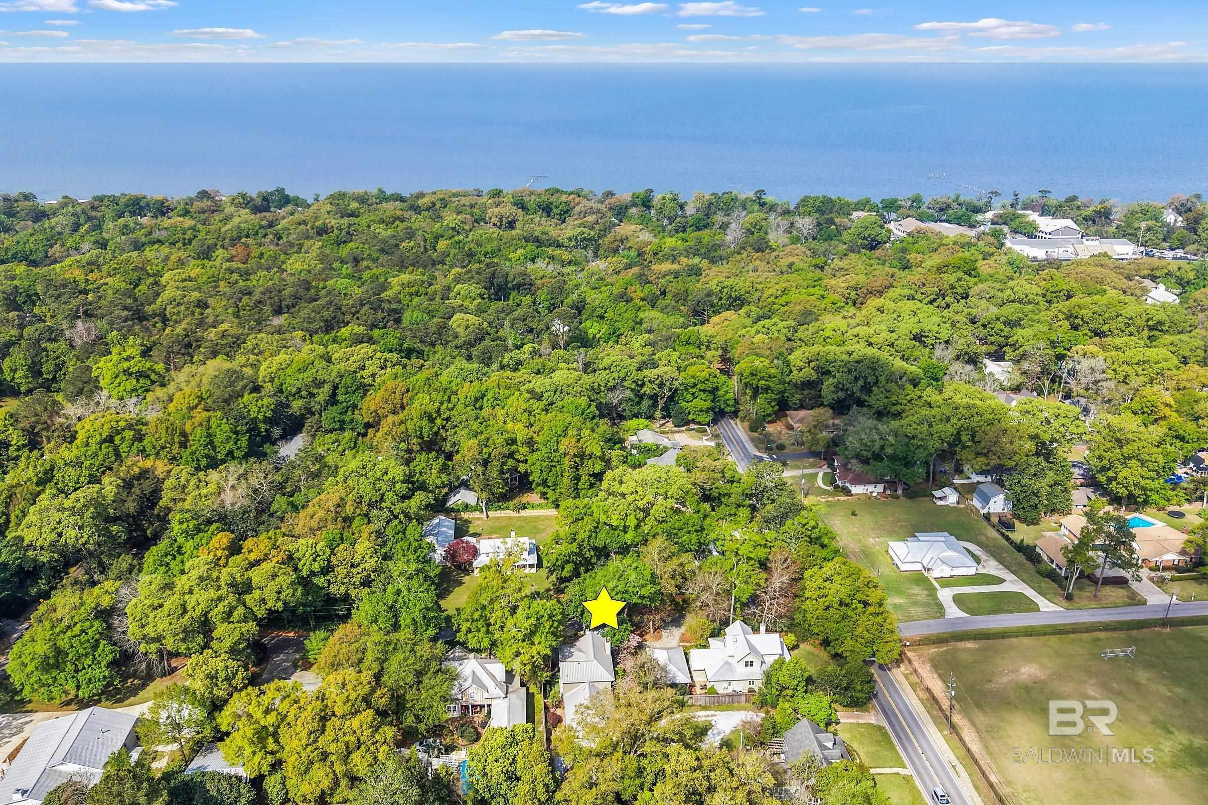 Image 4: Aerial View