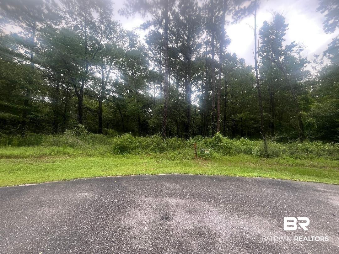Image 1: 5.77 Acres Facing Lot 7