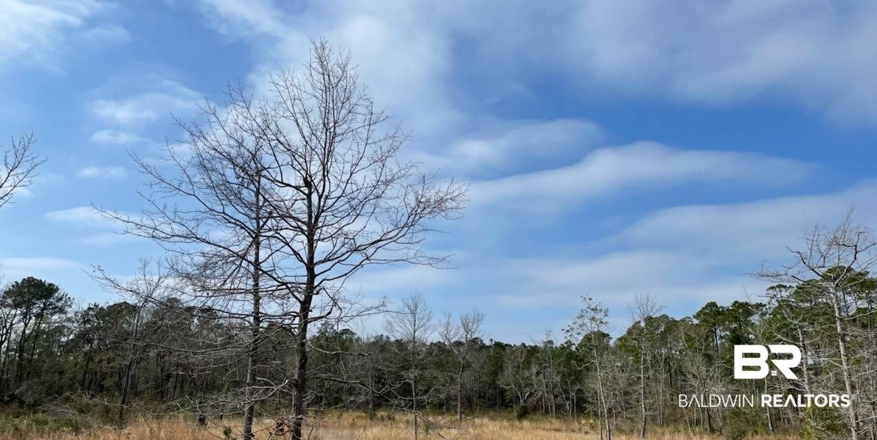 Image 2: View of wooded area
