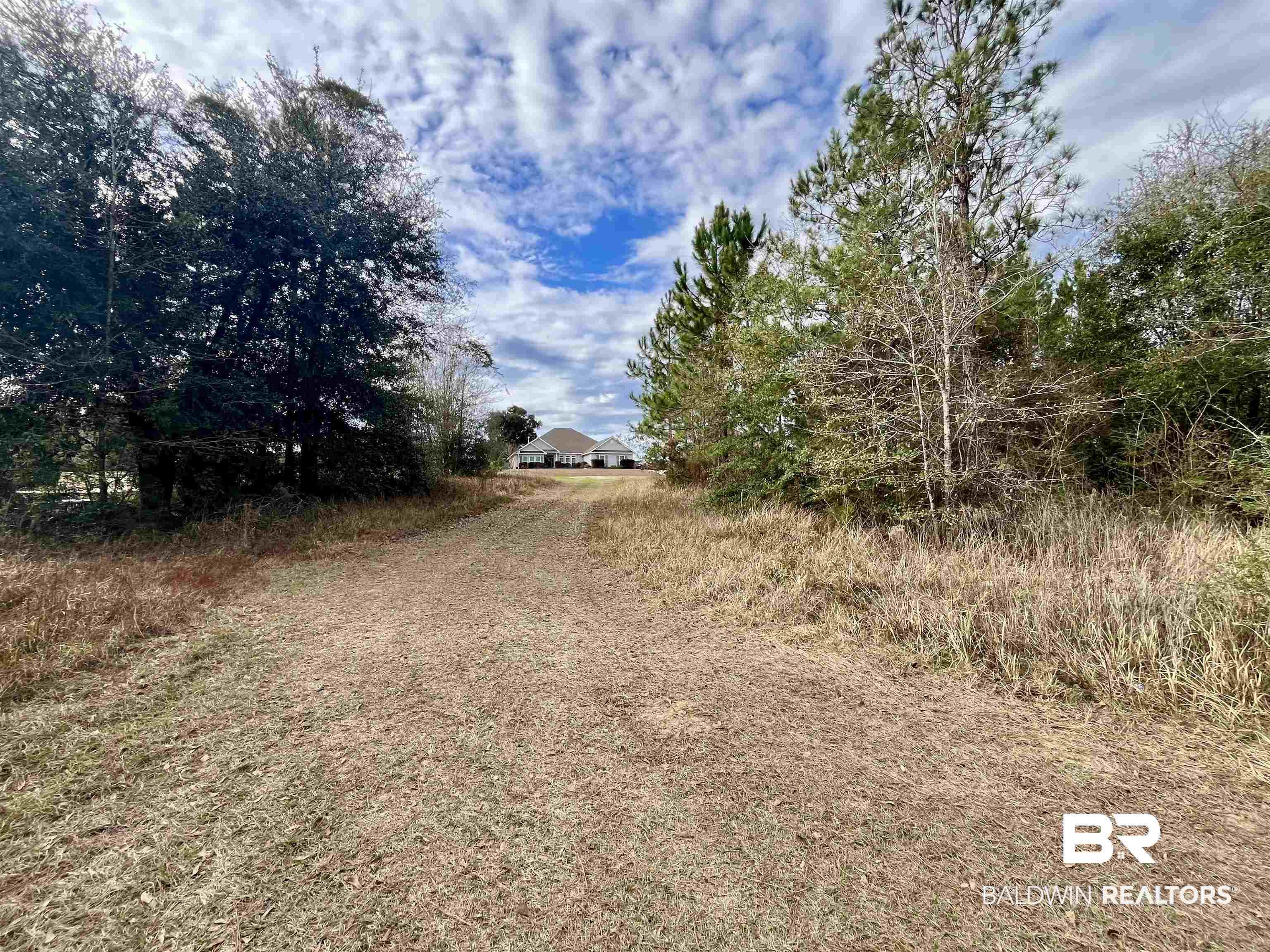 Image 4: View of dirt / gravel road