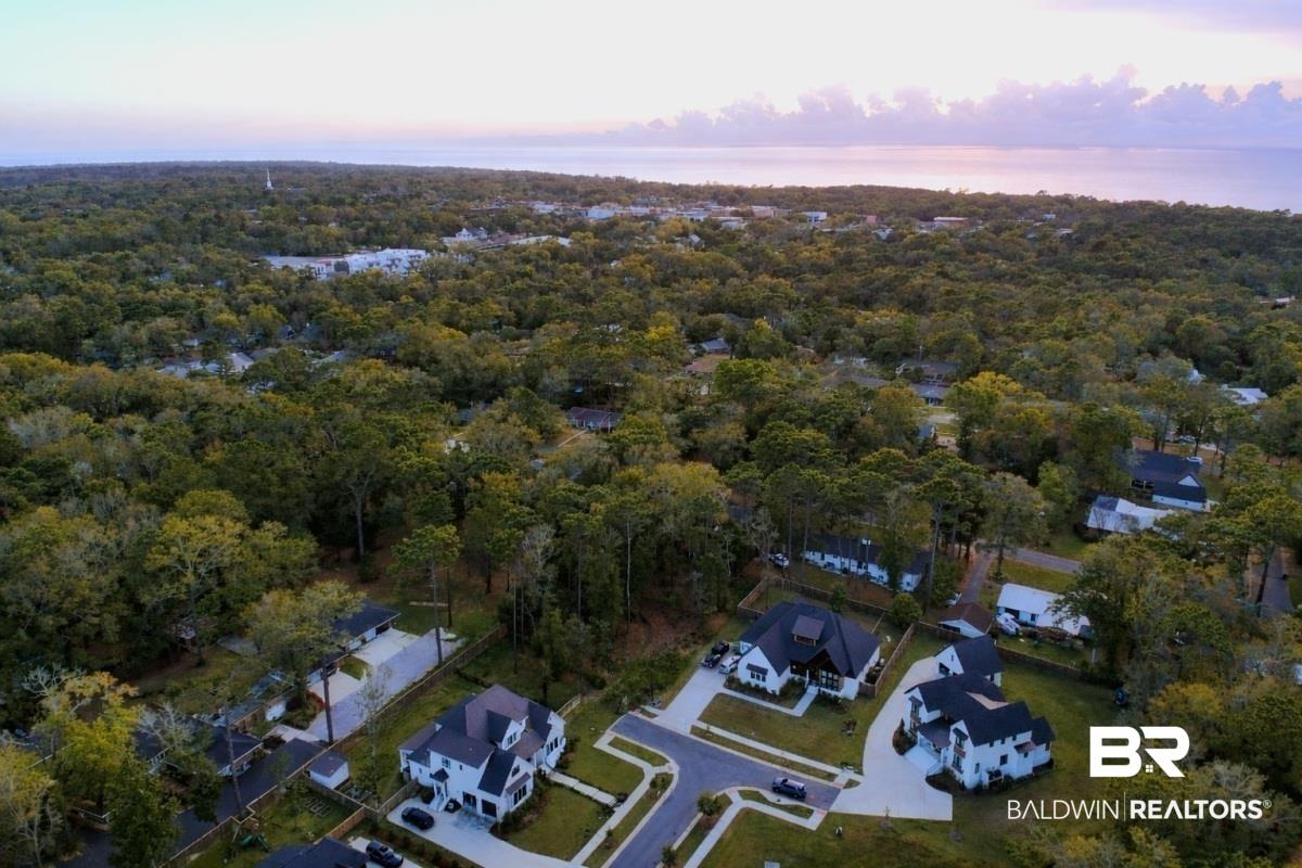 Image 2: Aerial view at dusk of a residential view and a forest view