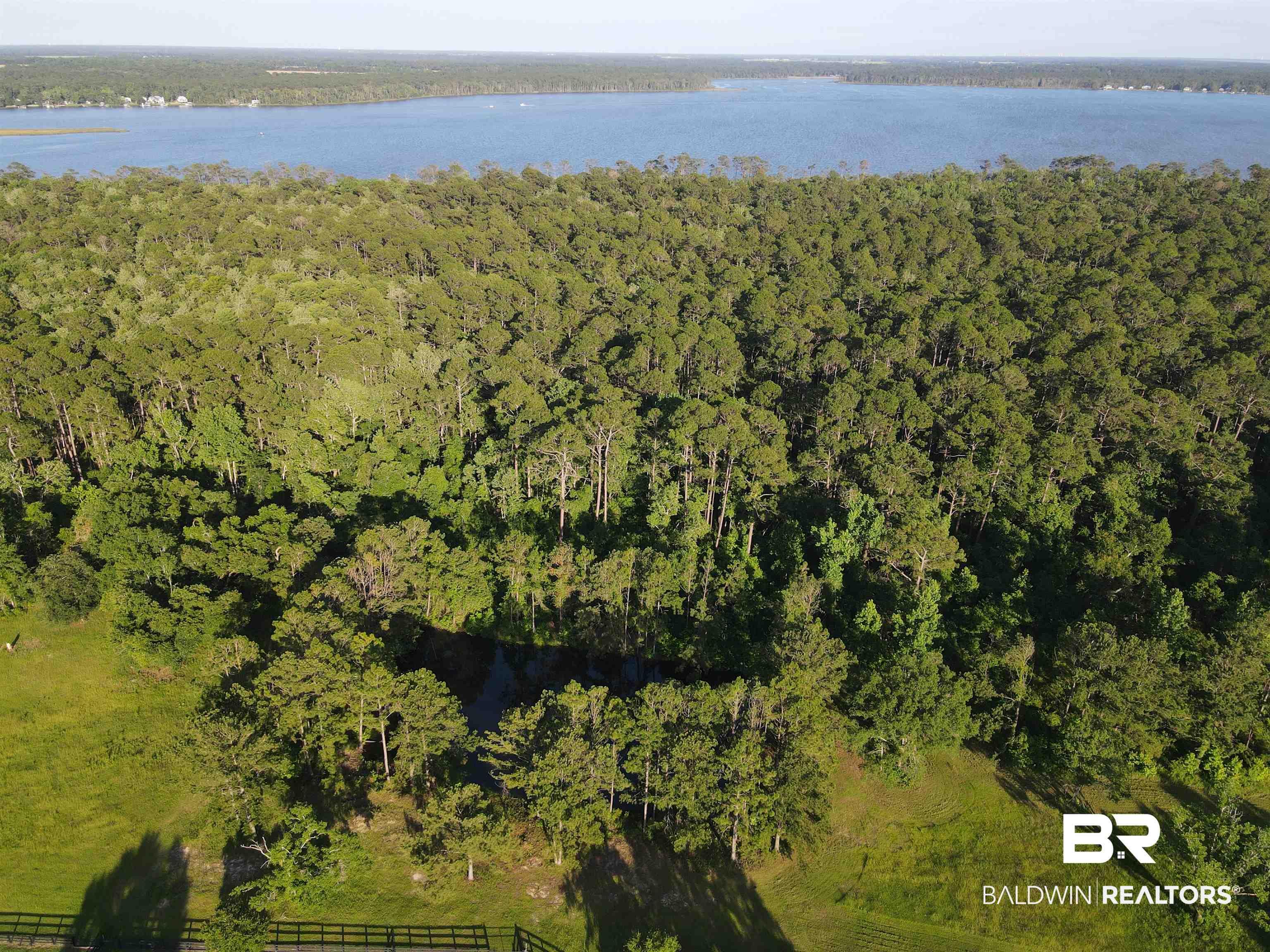 Image 3: Aerial view of property's location featuring a forest and a large body of water
