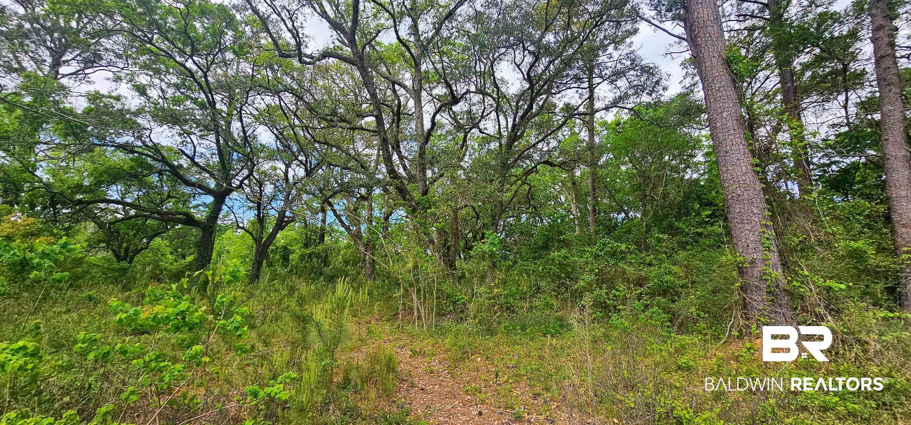 Image 2: View of wooded area