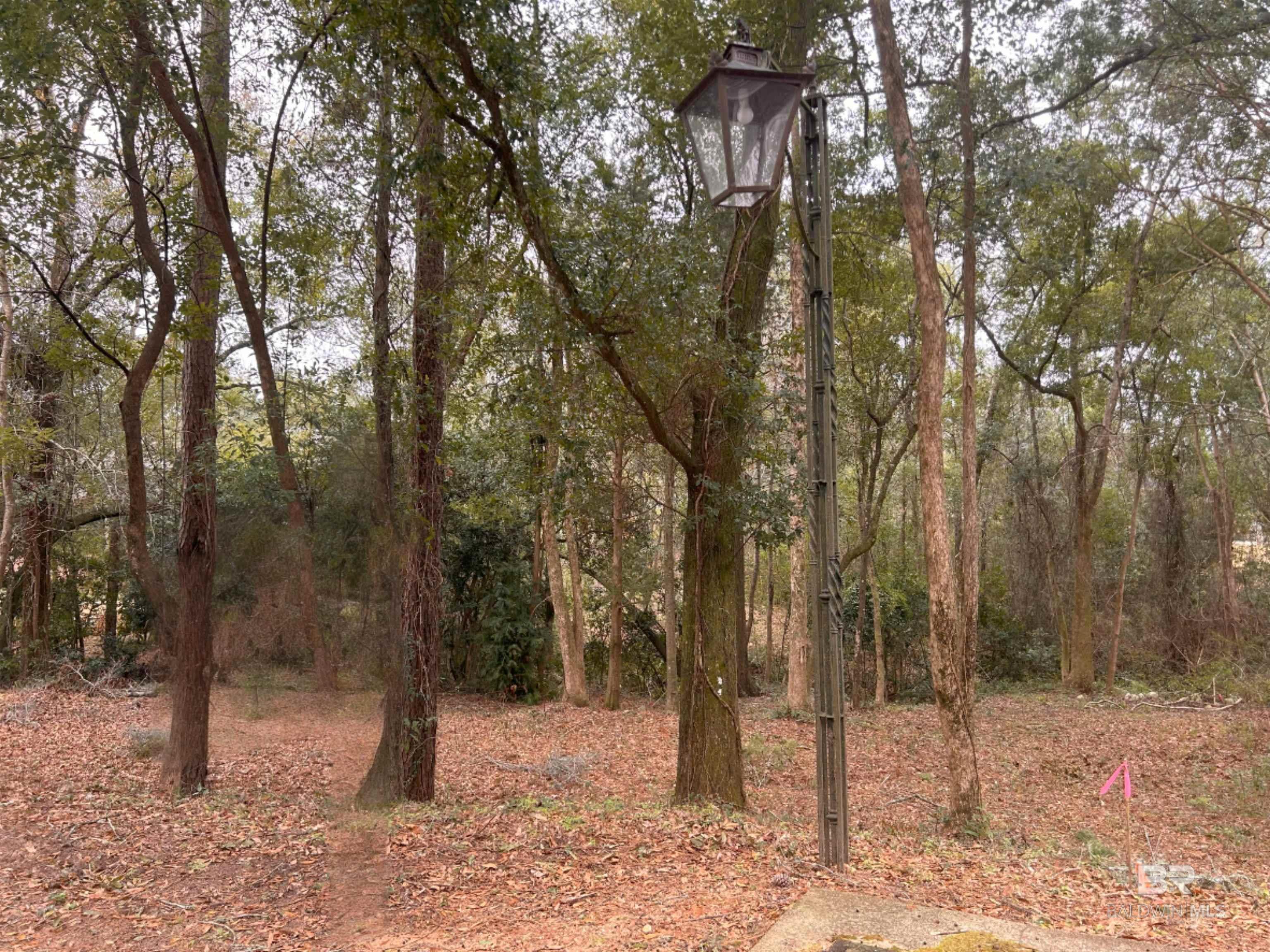 Image 1: Front of Lot