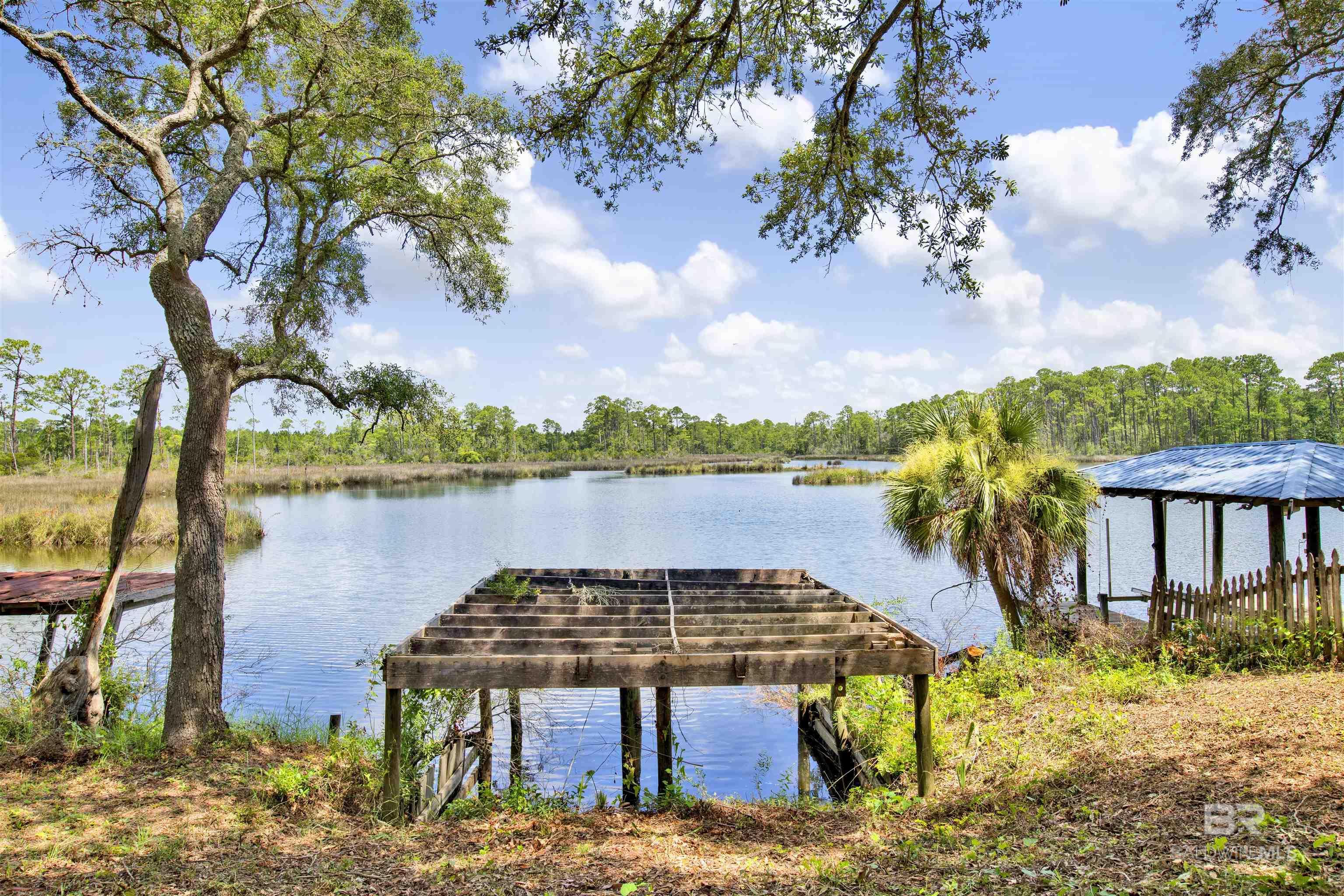Image 4: Dock