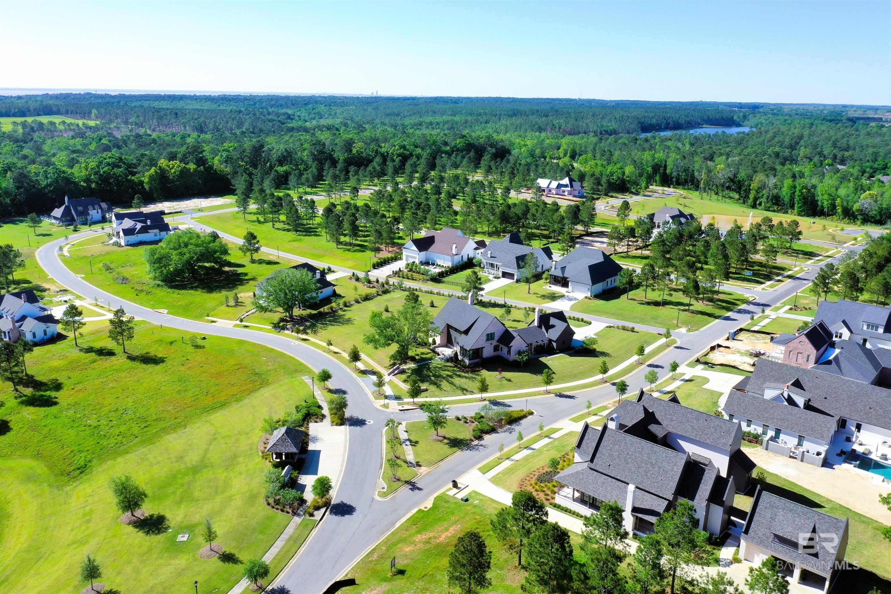 Image 4: Aerial View