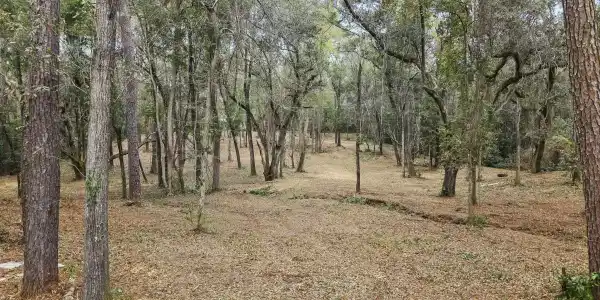 00 Park Drive