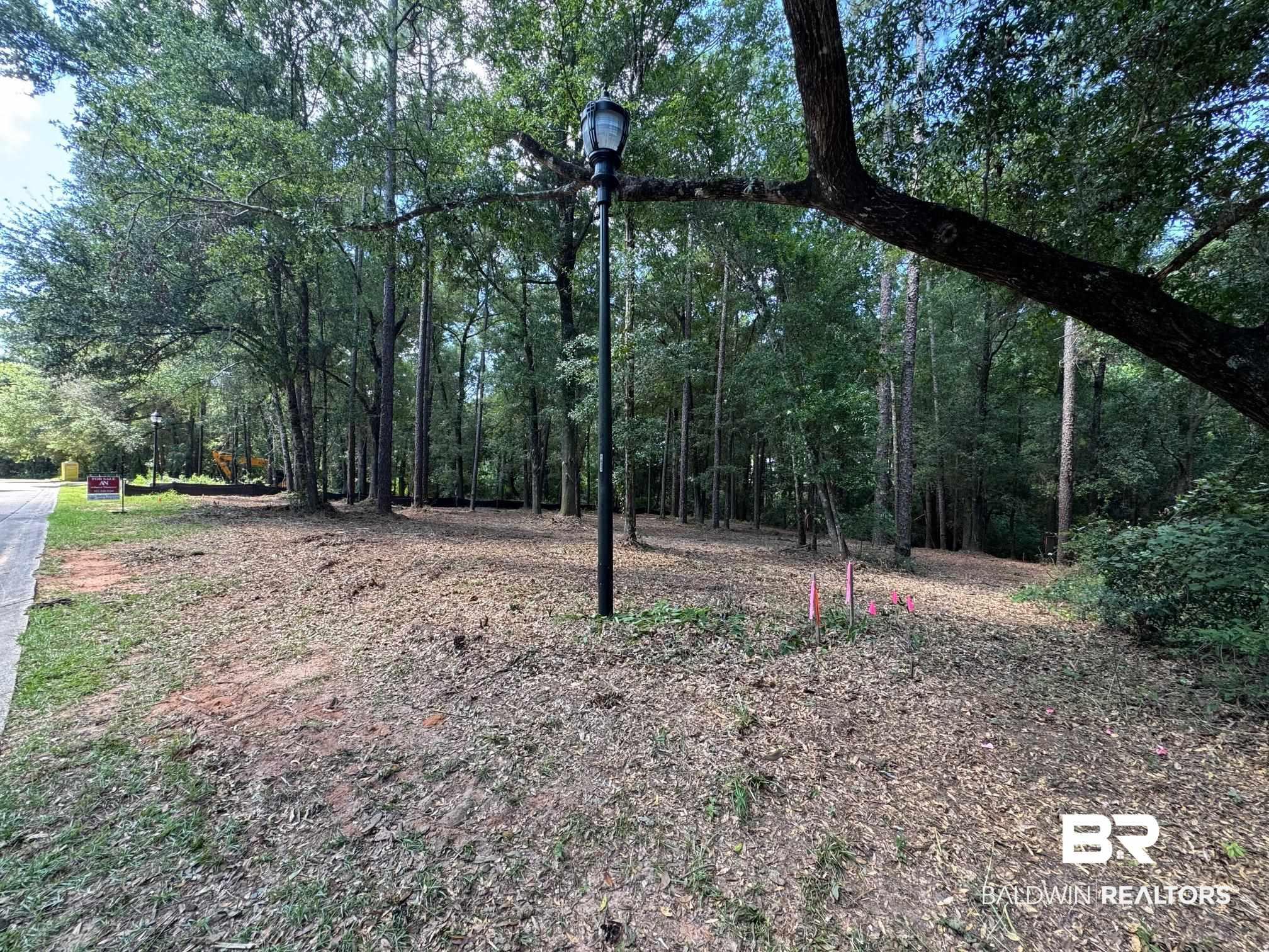 Image 2: View of yard featuring a forest view