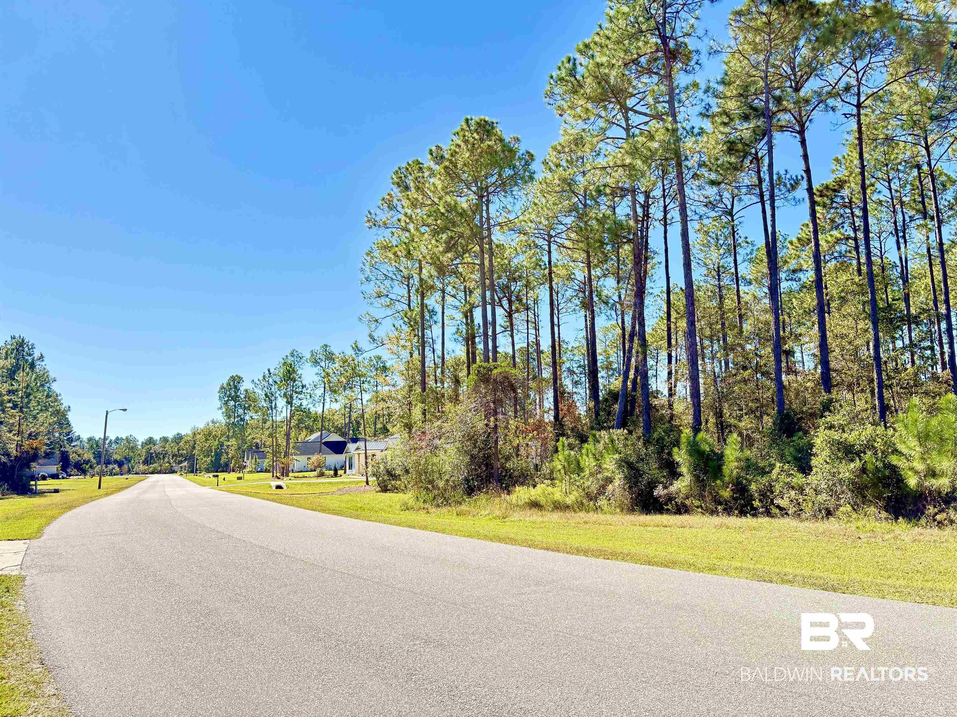 Image 1: View of asphalt street with view of scattered trees and street lights