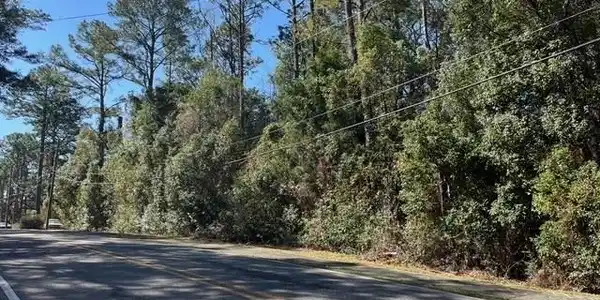 Image 3: View of street with a wooded view