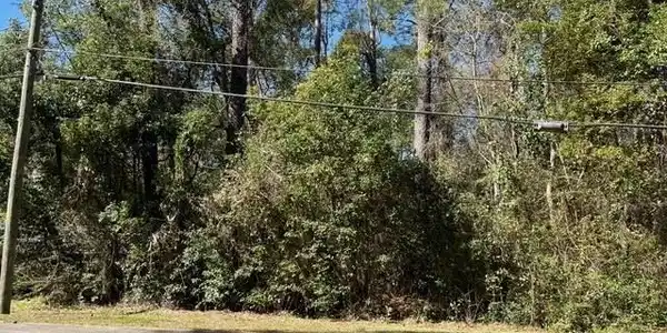 Image 4: Exterior space with a view of trees