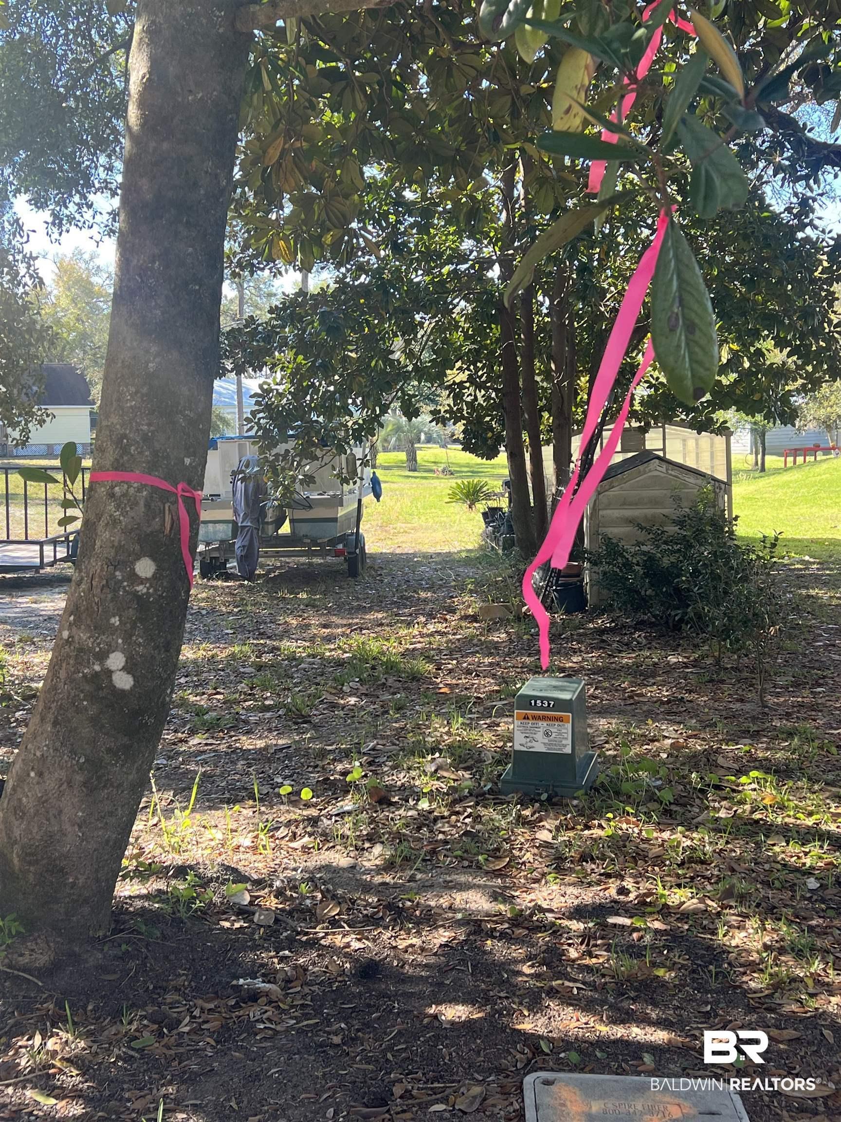 Image 3: View of yard