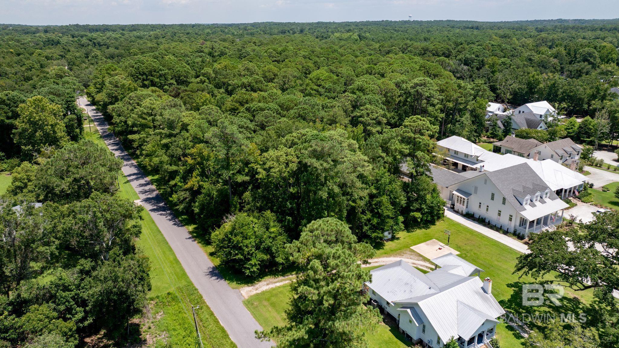 Image 4: Aerial View