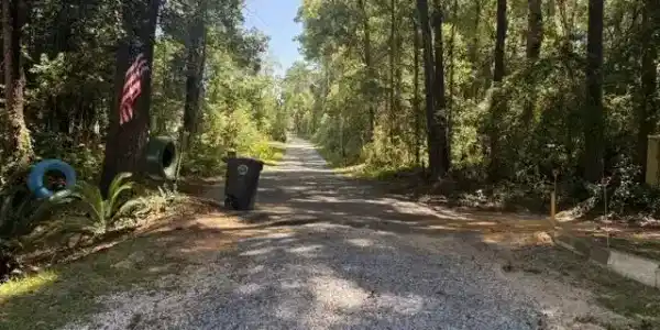 Image 3: Gravel driveway bordered by mature trees and natural landscaping
