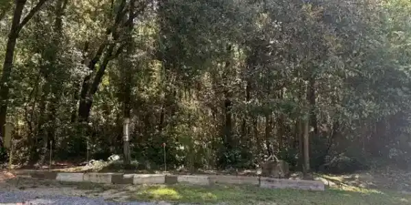 Image 4: Gravel foreground with concrete block border and lush, mature trees framing the perimeter