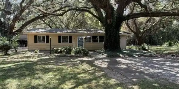 Image 2: Additional front view
