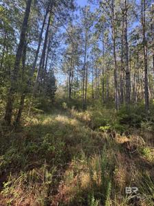 0 Blakeley Oaks Drive