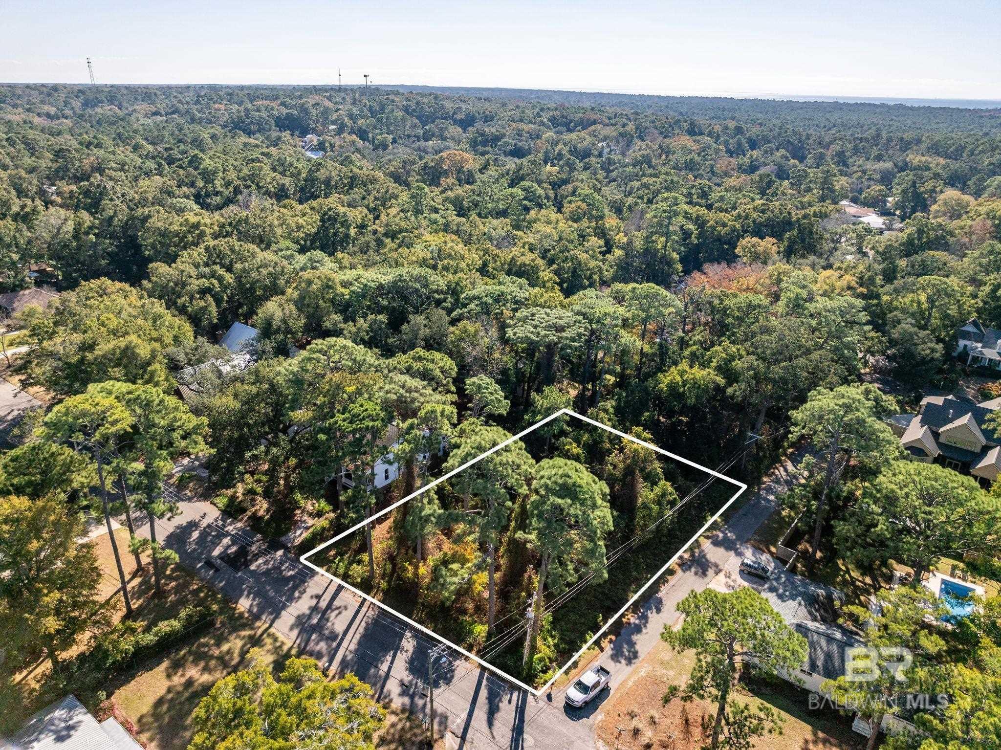 Image 2: Aerial View