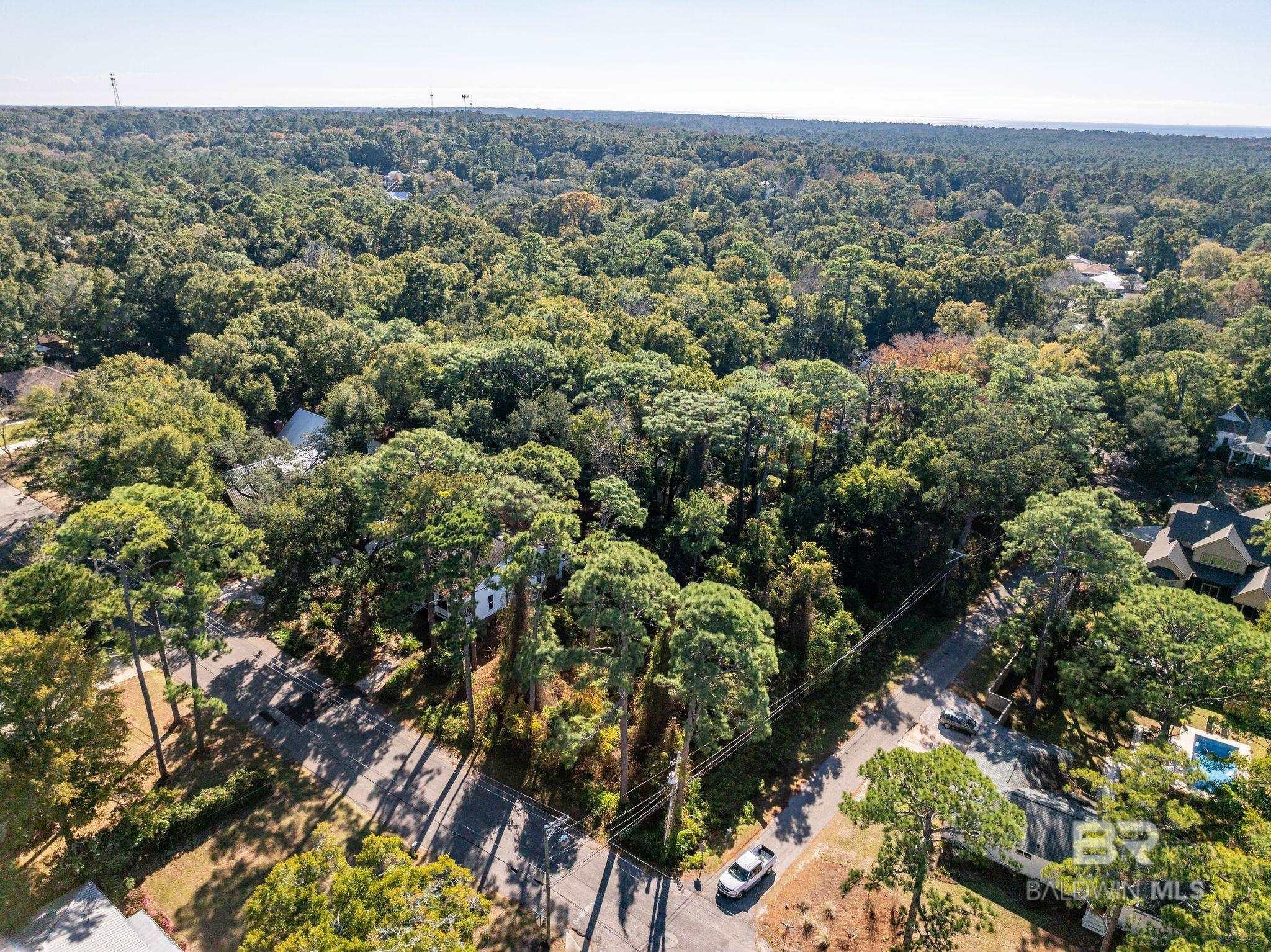 Image 4: Aerial View