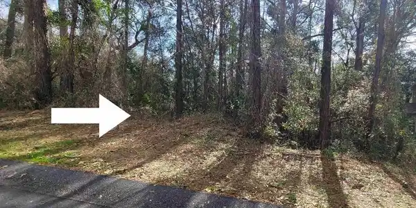 181 Lakeview Loop