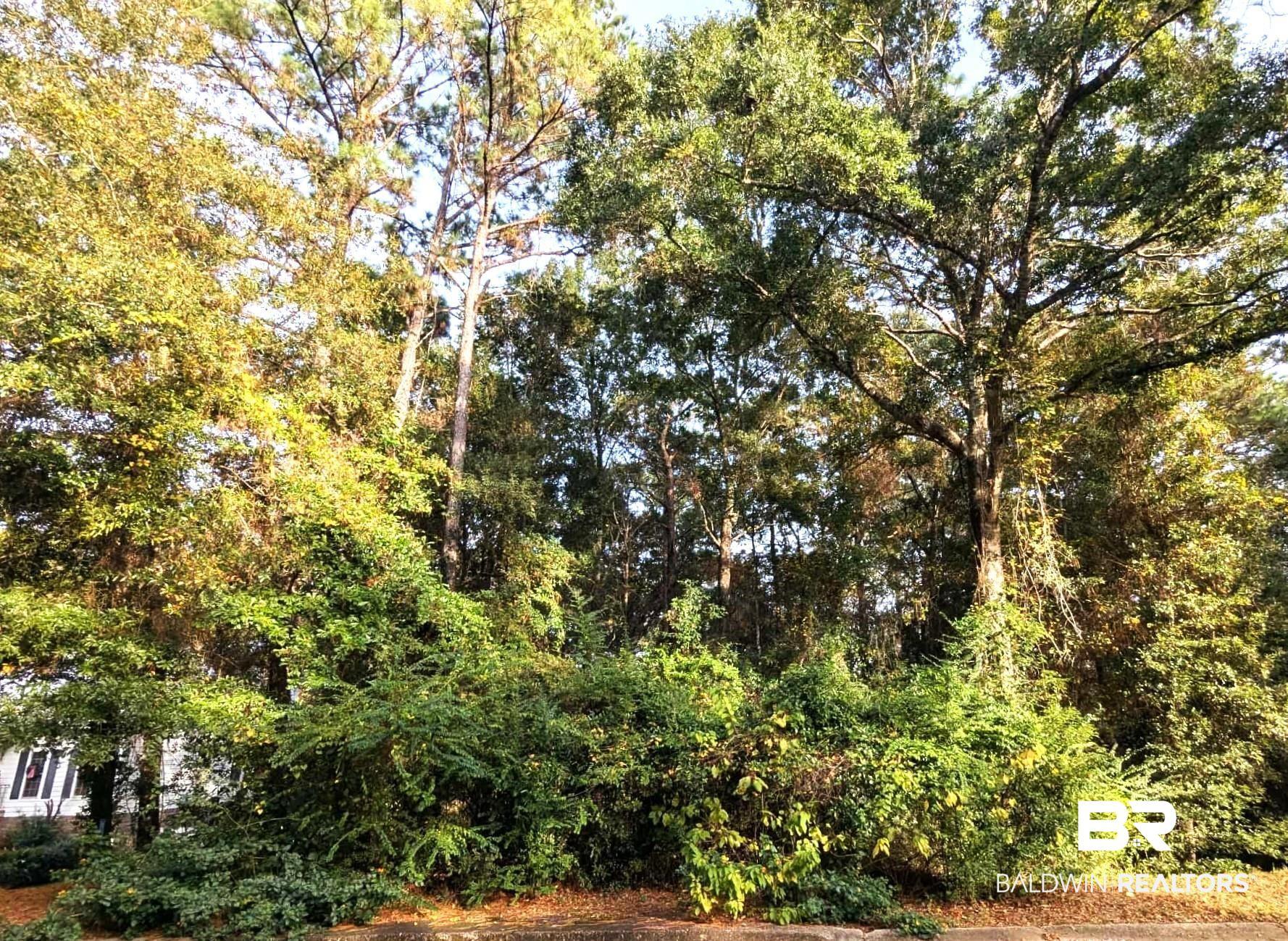 Image 2: View of wooded area