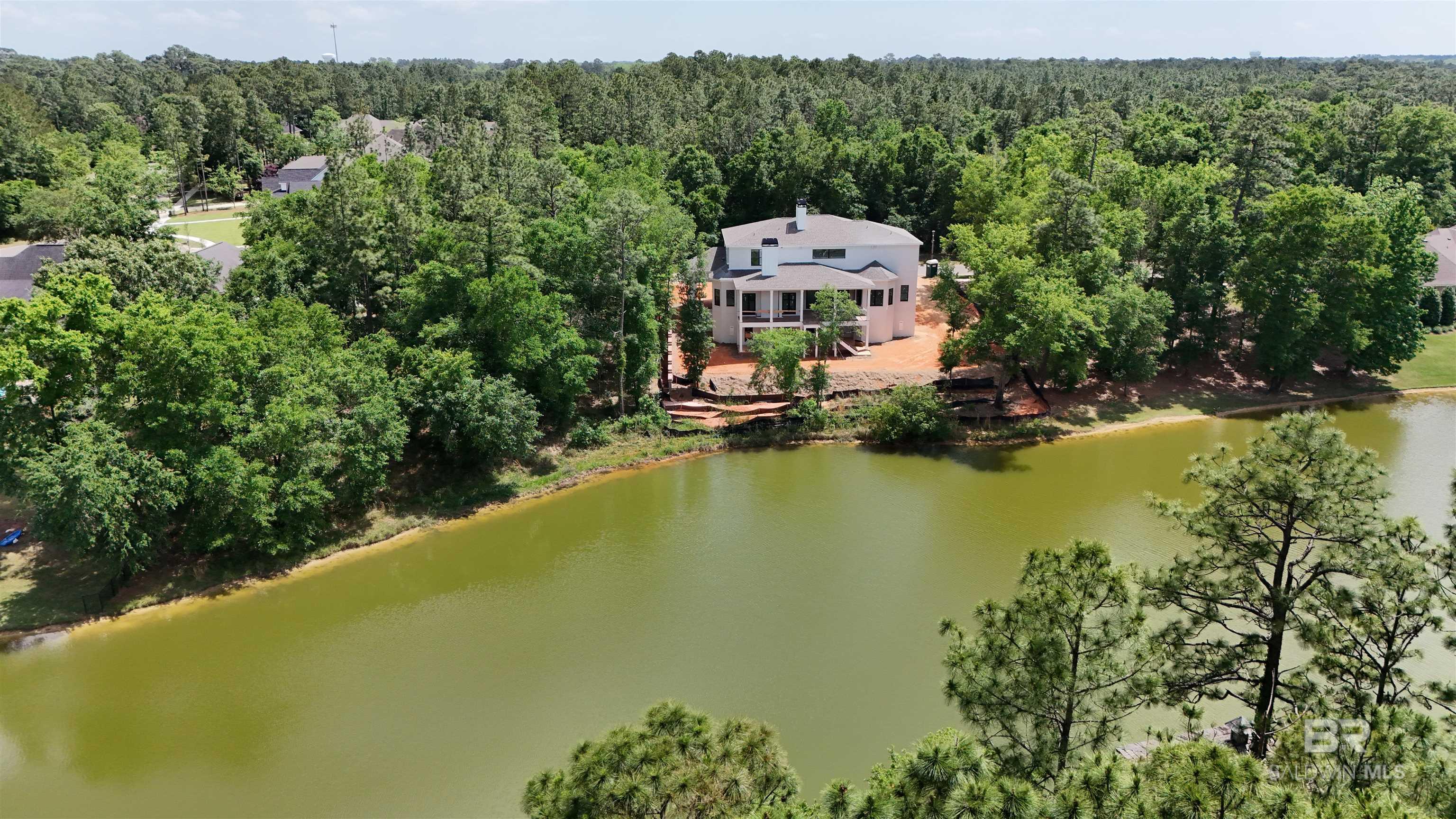 Image 4: Aerial View