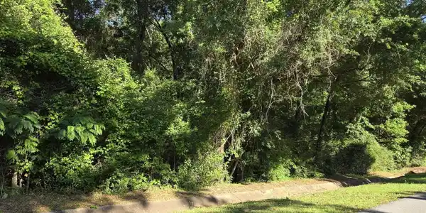 00 Locke Lane