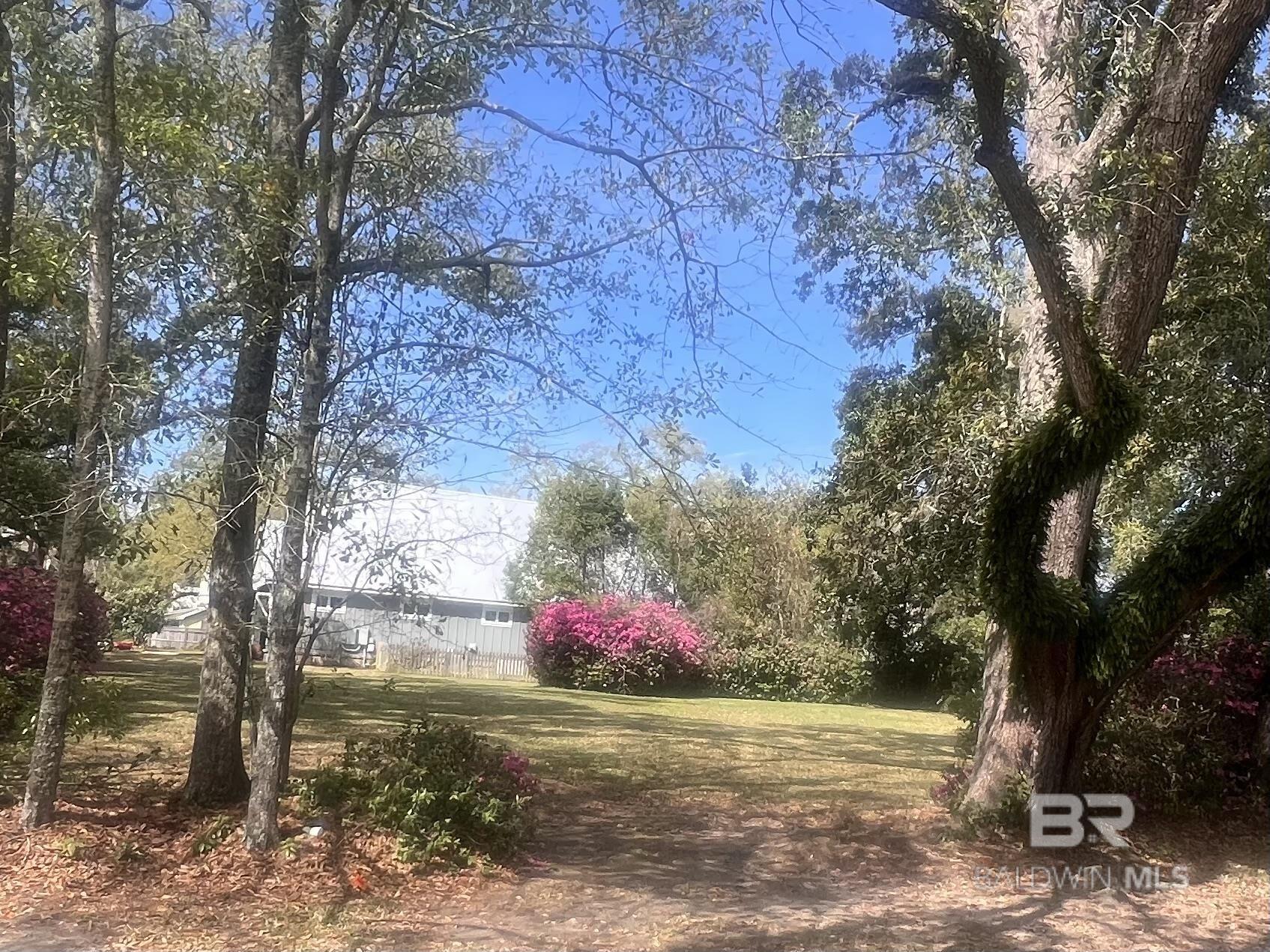 Image 2: Yard