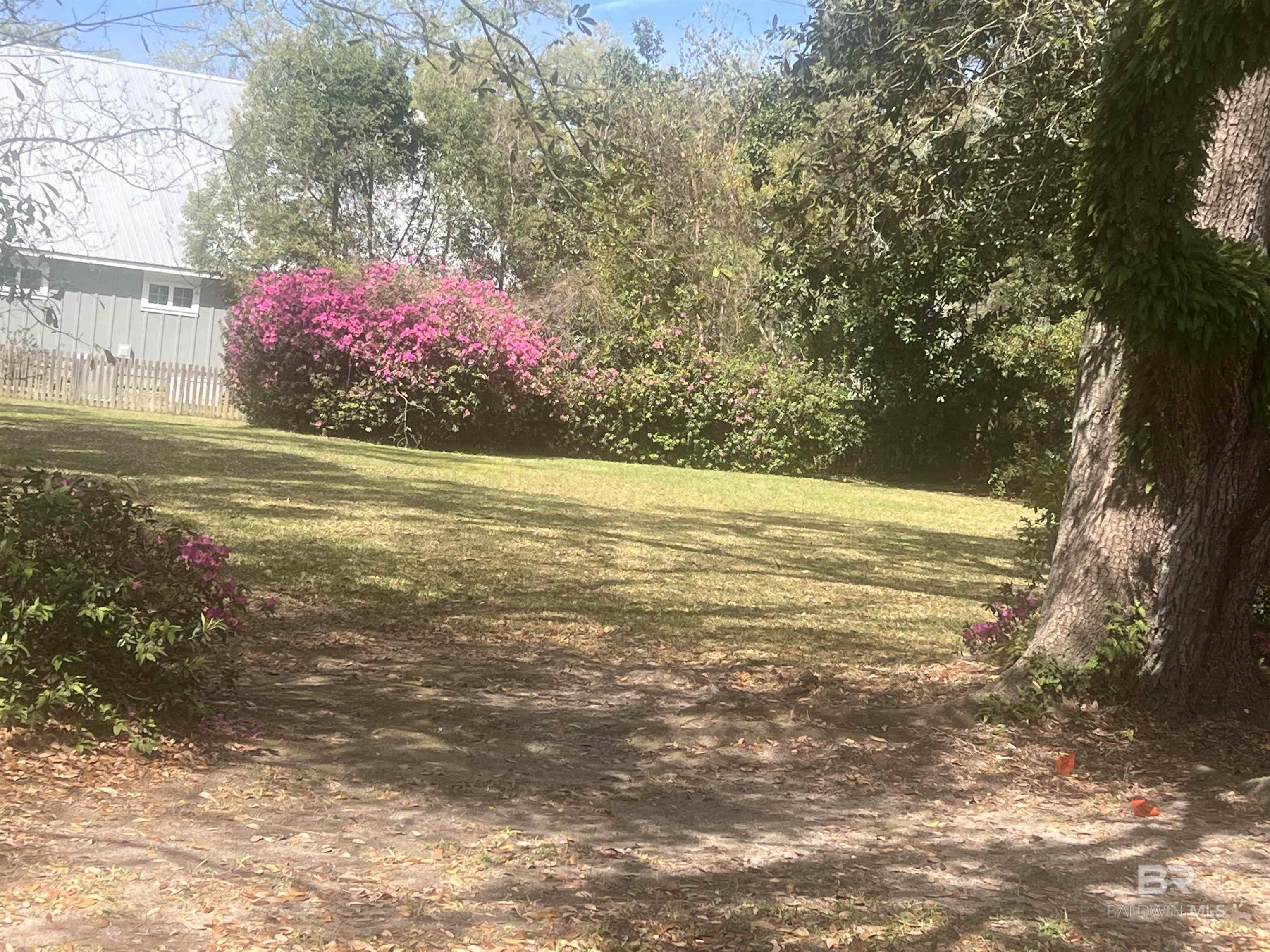 Image 3: Yard
