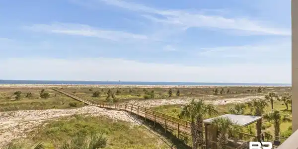 Image 3: Expansive coastal landscape featuring a boardwalk extending towards the water, natural dunes, and mature palm trees