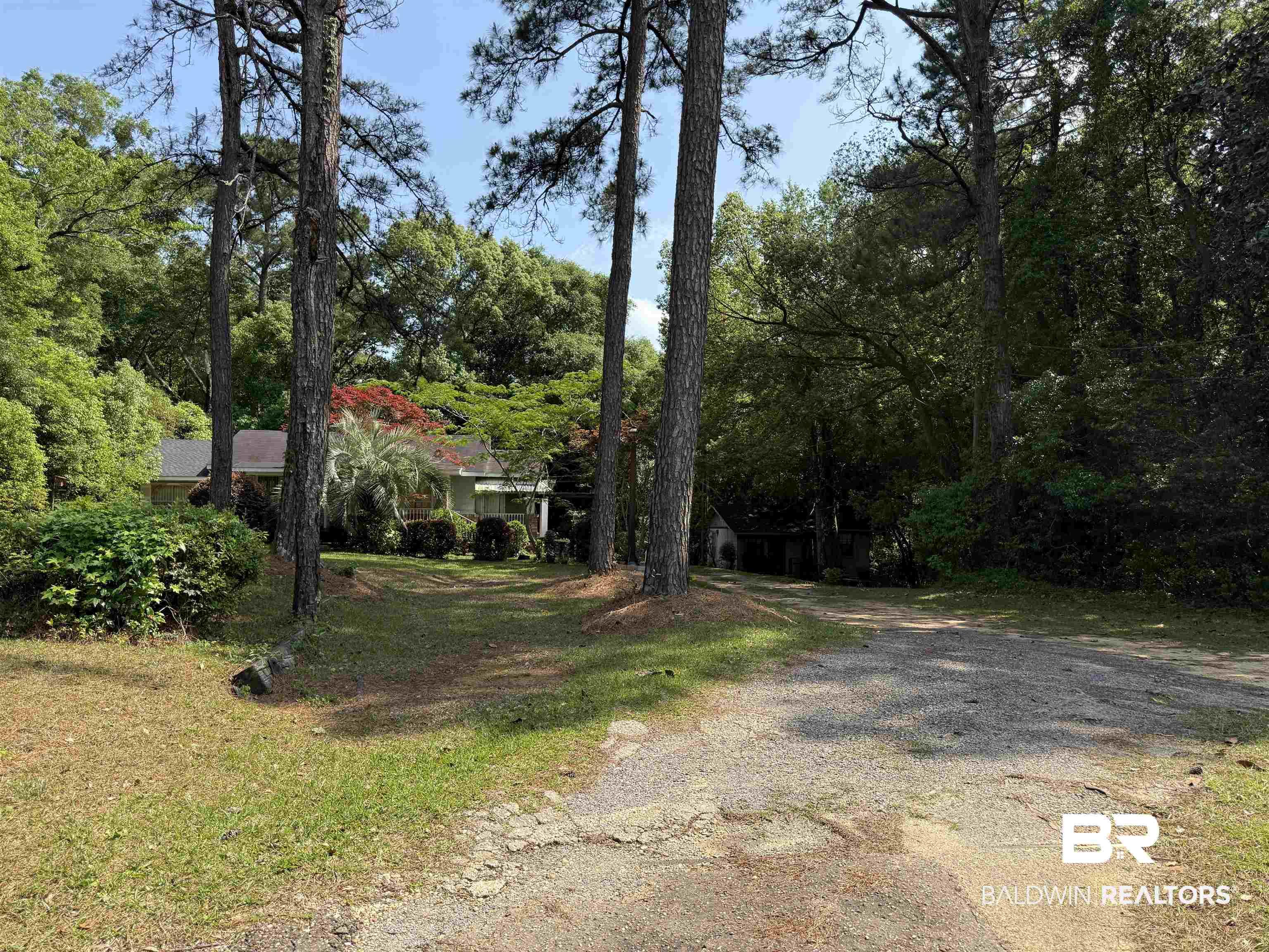 Image 3: Driveway to both Buildings
