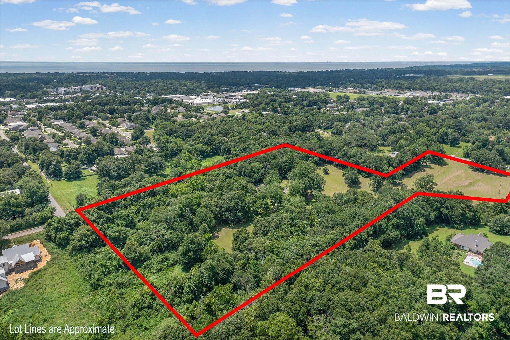 Image 3: Expansive lot offering a blend of dense tree coverage and open, cleared land