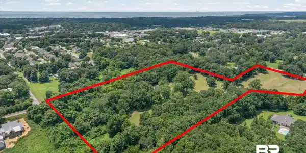 Image 3: Expansive lot offering a blend of dense tree coverage and open, cleared land
