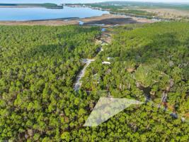 308 Mossy Oak Dr