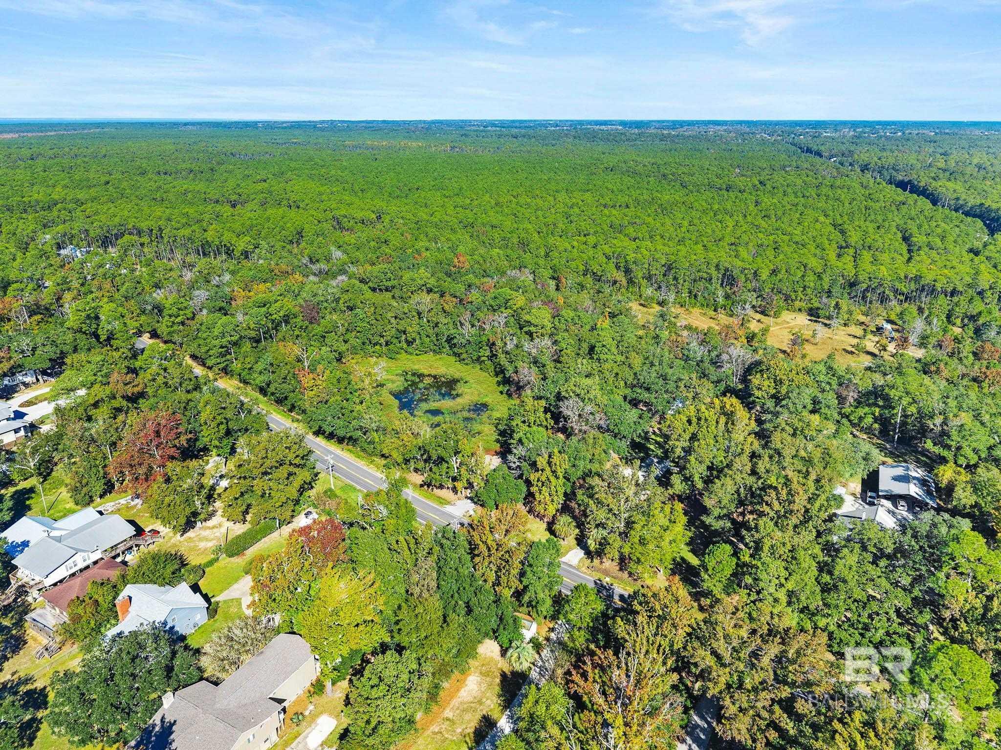 Image 3: Aerial View