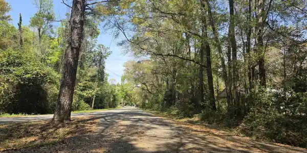 Image 2: View of asphalt road with a view of trees