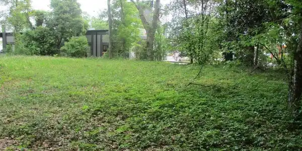 Image 3: View of yard