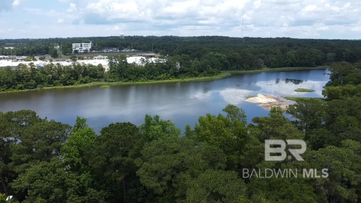 Image 4: Aerial View