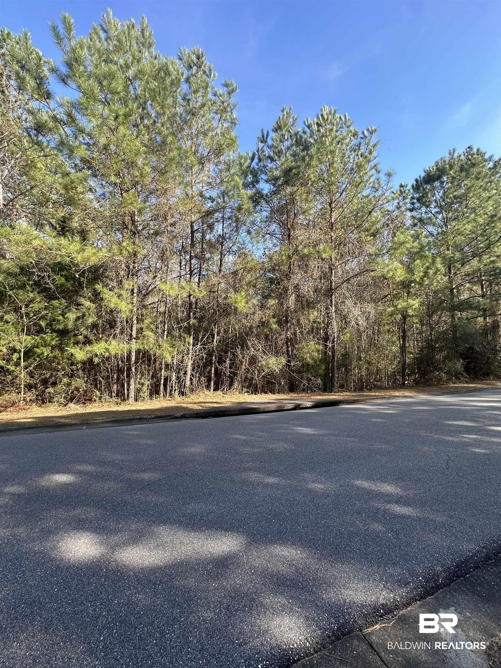 Image 3: View of asphalt street