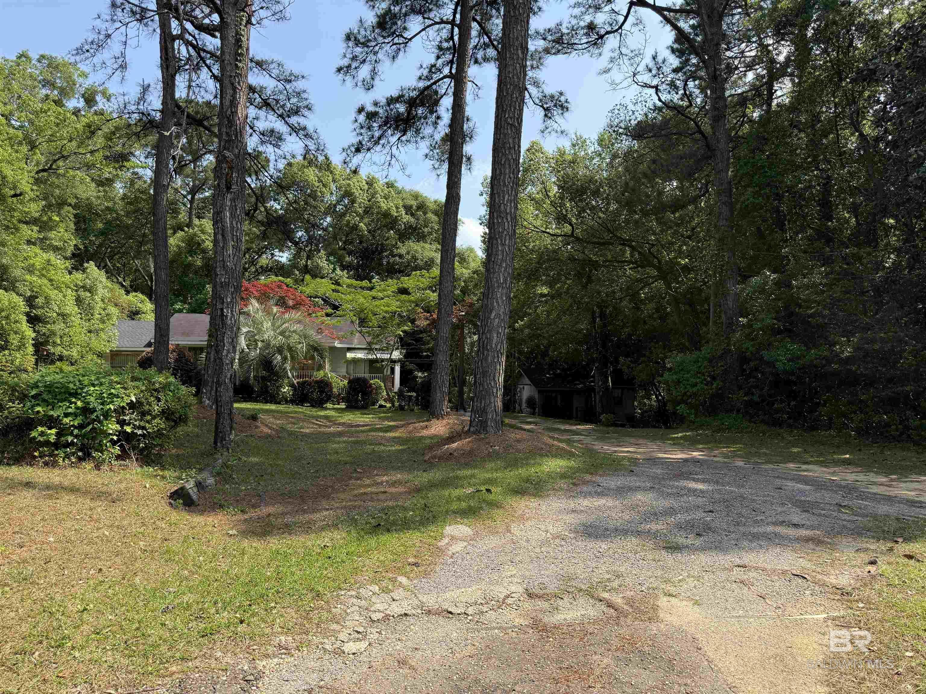 Image 3: Driveway to both Buildings