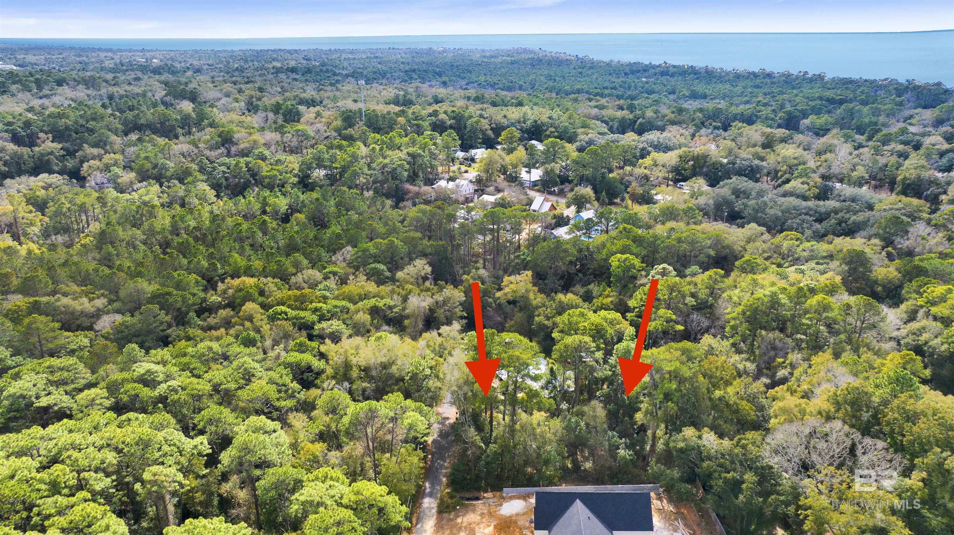 Image 4: Aerial View